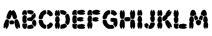 Zella Regular FONT
