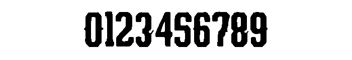 Zenith_Sans Font OTHER CHARS