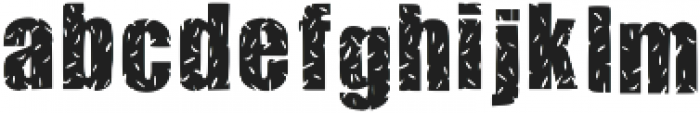 zebra font ttf (400) Font LOWERCASE