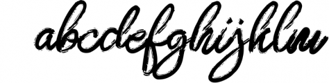 ZeBrush | Brush Script Font Font LOWERCASE