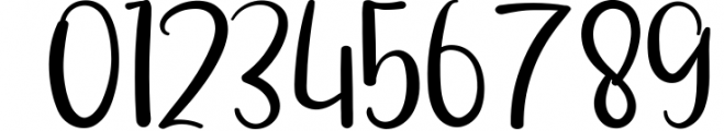 Zebra - Elegant Handwritten Font Font OTHER CHARS