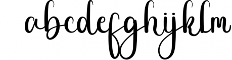 Zebra - Elegant Handwritten Font Font LOWERCASE