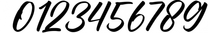 Zelfirus - Handcrafted Brush Lettering Script Font Font OTHER CHARS