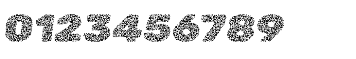 Zenova Blot Italic Font OTHER CHARS