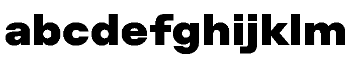 ZetalLargeVariable Black Instance FONT
