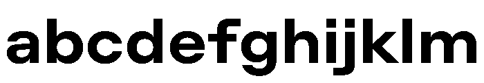 ZetalLargeVariable Bold Instance FONT