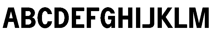 ZetalTightVariable Bold Instance Font UPPERCASE