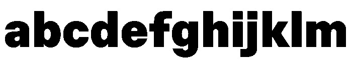ZetalVariable Black Instance FONT