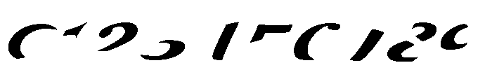 Zebra B Font OTHER CHARS