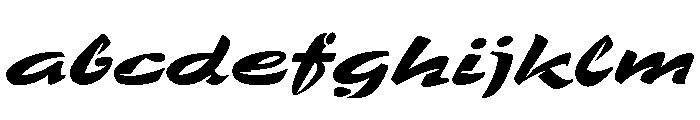 Zebra Wedge FONT