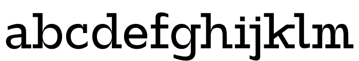 ZF2334 Slab Serif Regular FONT