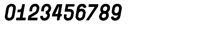 ZF Base Sans Pro Italic Font OTHER CHARS