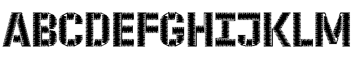 ZIGZAG Bold FONT