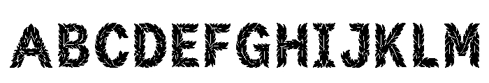 Ziya Regular FONT