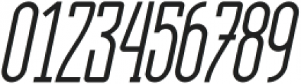 Zibryain Italic ttf (400) Font OTHER CHARS