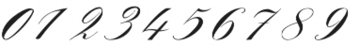 Zilvia Script Medium otf (500) Font OTHER CHARS