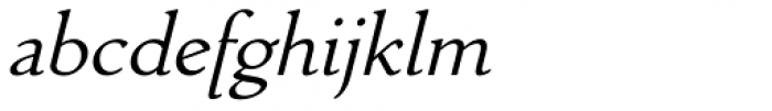 Zilvertype Pro Italic Font LOWERCASE