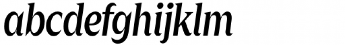 Zin Display Condensed Medium Italic Font LOWERCASE