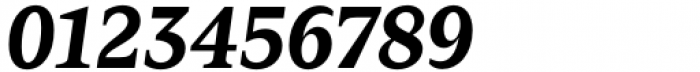 Zin Serif Bold Italic Font OTHER CHARS