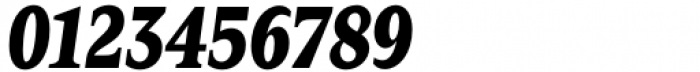 Zin Serif Condensed Black Italic Font OTHER CHARS