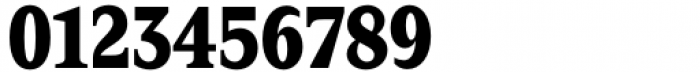 Zin Serif Condensed Black Font OTHER CHARS