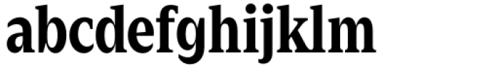 Zin Serif Condensed Bold Font LOWERCASE