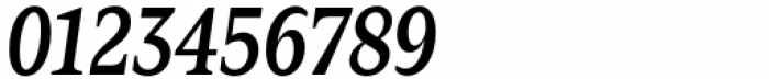 Zin Serif Condensed Medium Italic Font OTHER CHARS