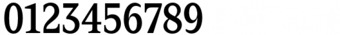 Zin Serif Condensed Medium Font OTHER CHARS