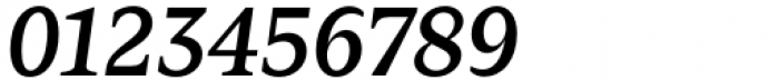 Zin Serif Medium Italic Font OTHER CHARS