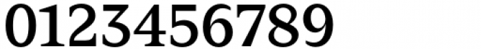 Zin Serif Medium Font OTHER CHARS