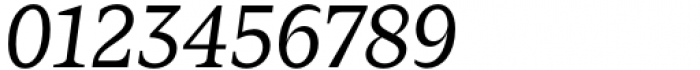 Zin Serif Regular Italic Font OTHER CHARS