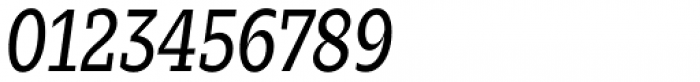 Zin Slab Condensed Regular Italic Font OTHER CHARS