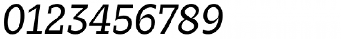Zin Slab Regular Italic Font OTHER CHARS