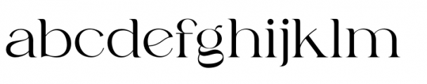Zn Fragile Serif Font LOWERCASE