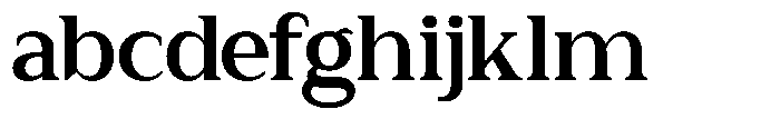 Zn Relyne Bold FONT
