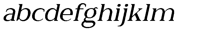 Zn Relyne Medium Oblique FONT
