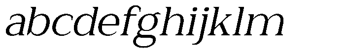 Zn Relyne Oblique FONT