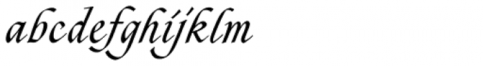 Zola D Regular Font LOWERCASE