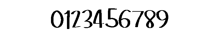 ZP Pocketful Light Font OTHER CHARS