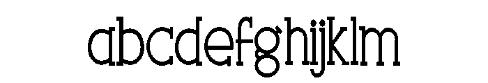 ZPNewMexicoLite FONT