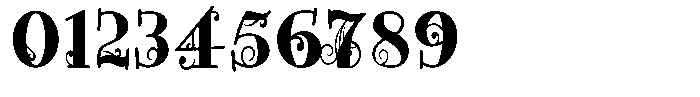 ZP Wild Wonderland Serif Condensed Font OTHER CHARS
