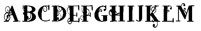 ZP Wild Wonderland Serif Condensed Font UPPERCASE