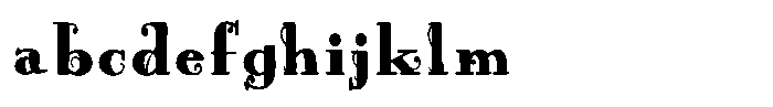 ZP Wild Wonderland Serif Condensed FONT