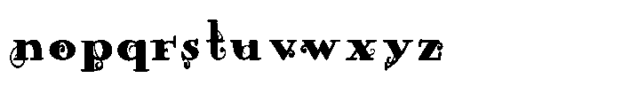ZP Wild Wonderland Serif Condensed Font LOWERCASE