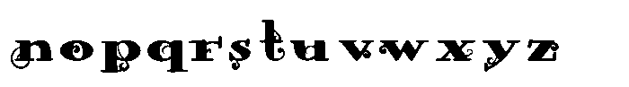 ZP Wild Wonderland Serif Font LOWERCASE