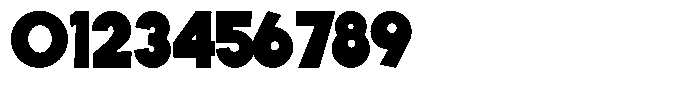 ZP Wild Wonderland Solid Font OTHER CHARS