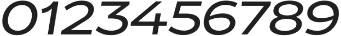 ZT Glora Pro Semi Expanded Italic otf (400) Font OTHER CHARS
