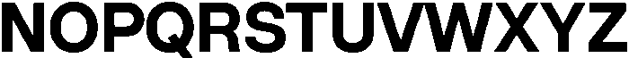 ZT Hakimi Bold otf (700) Font UPPERCASE