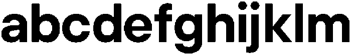 ZT Hakimi Bold otf (700) FONT