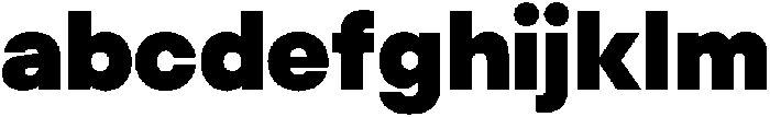 ZT Hakimi Extra Black otf (900) FONT